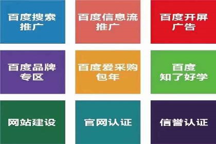 揭秘SEM代运营机构：实战案例分享